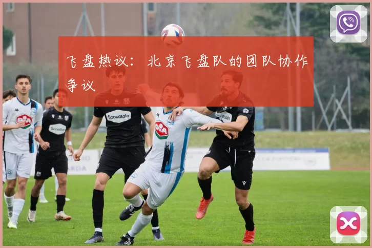 飞盘热议：北京飞盘队的团队协作争议